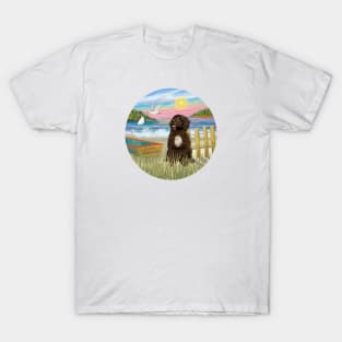 At the Shore with a Brown Portuguese Water Dog with a White Bib T-Shirt